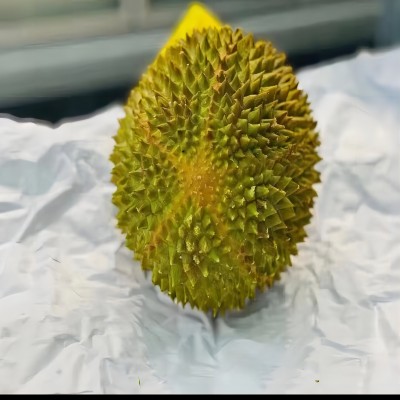 冷凍榴蓮果
