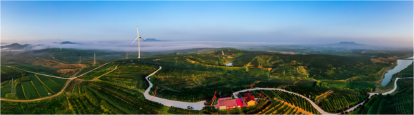 山东三羊榛缘生物科技有限公司