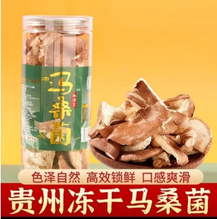 凍干馬桑菌30克罐裝