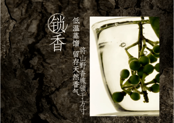 木姜子 让现制茶饮的风变狂野了
