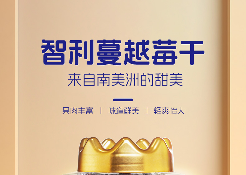 260g智利蔓越莓干（整粒）