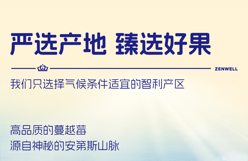 260g智利蔓越莓干（整粒）