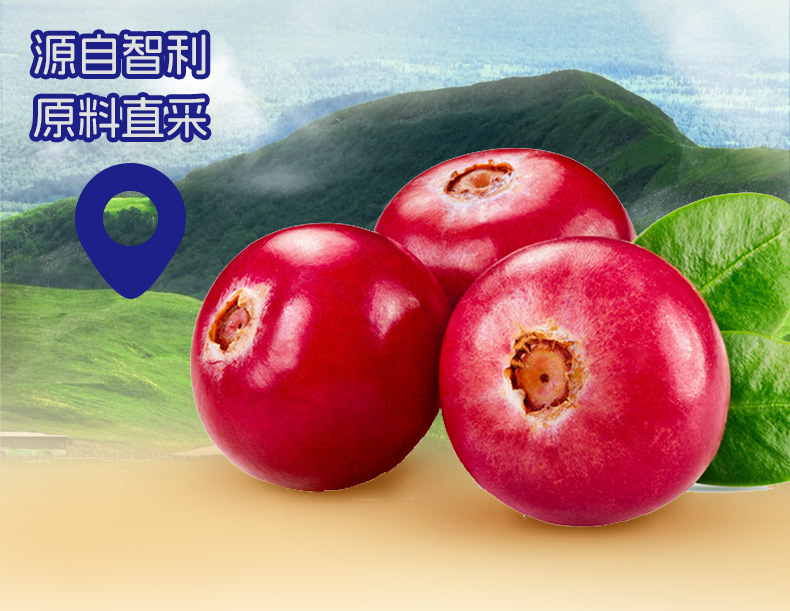 260g智利蔓越莓干（整粒）