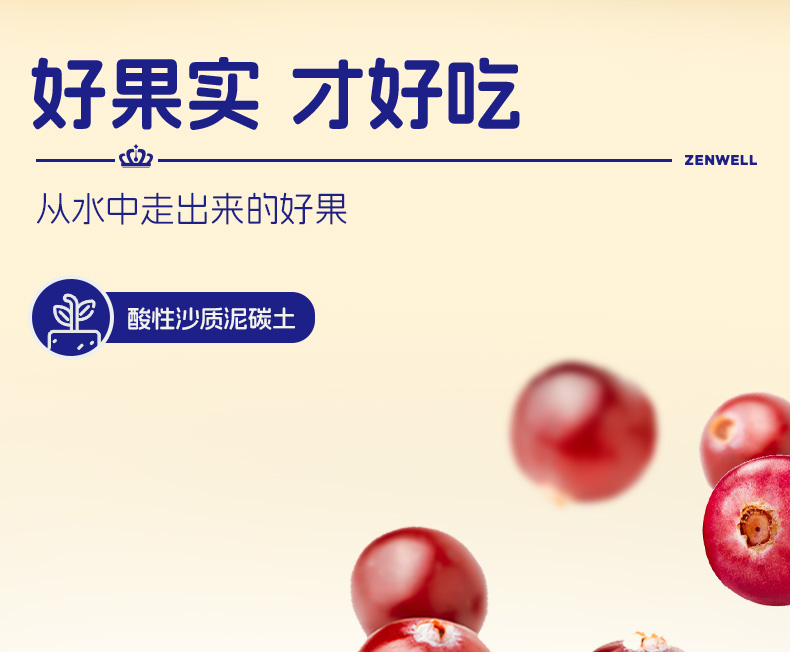 260g智利蔓越莓干（整粒）