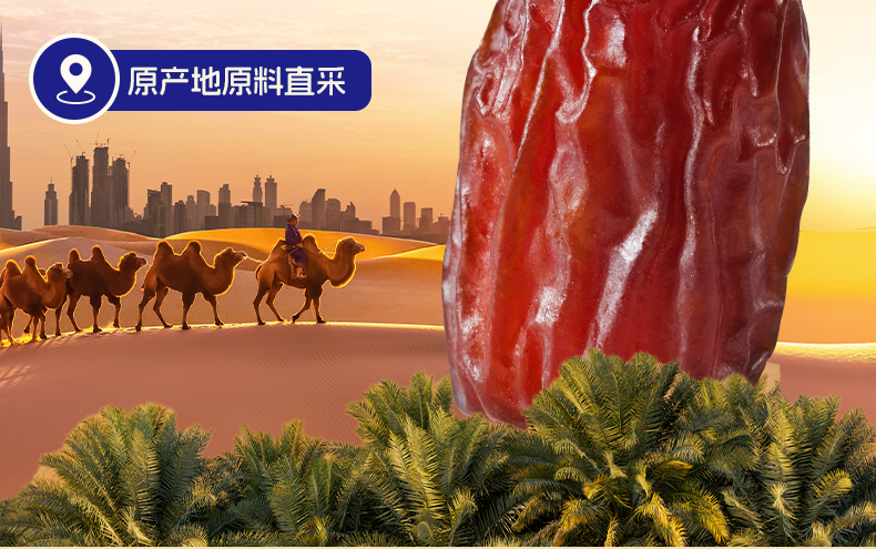 300g阿联酋椰枣