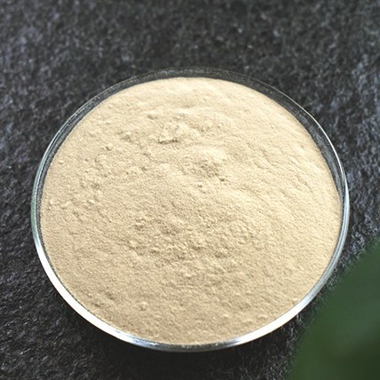 速溶生姜粉 Instant Ginger Powder