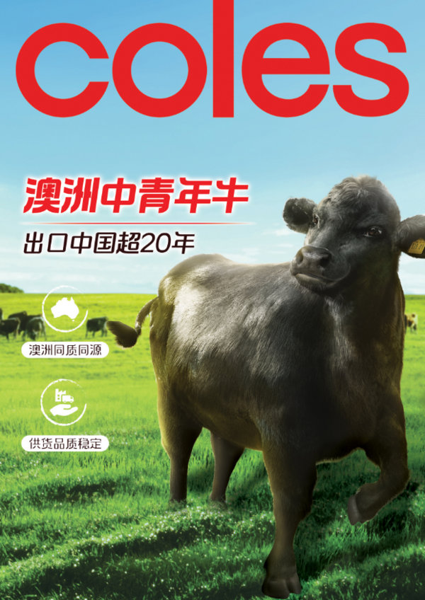 Coles YP短期谷饲牛肉