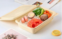 索玛 一次性玉米淀粉环保餐盒