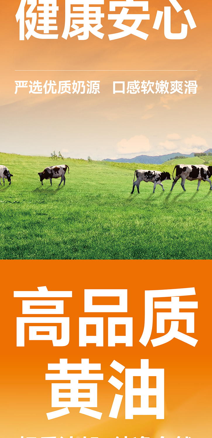 蛋挞布丁调理奶油A+