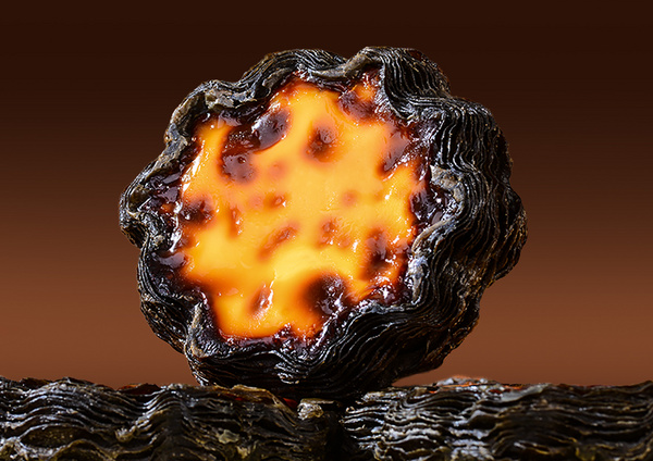 墨鱼汁太阳花挞皮