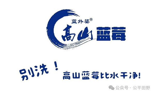 活動(dòng) | 生態(tài)農(nóng)業(yè)，聚焦臻品：2025FHC&公平田野市集優(yōu)秀品牌亮相