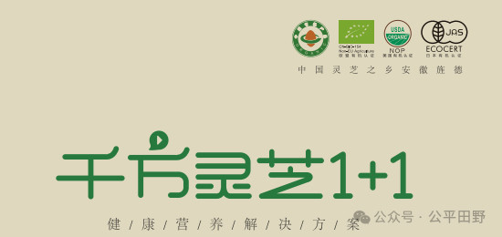 活動(dòng) | 生態(tài)農(nóng)業(yè)，聚焦臻品：2025FHC&公平田野市集優(yōu)秀品牌亮相