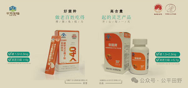 活動(dòng) | 生態(tài)農(nóng)業(yè)，聚焦臻品：2025FHC&公平田野市集優(yōu)秀品牌亮相