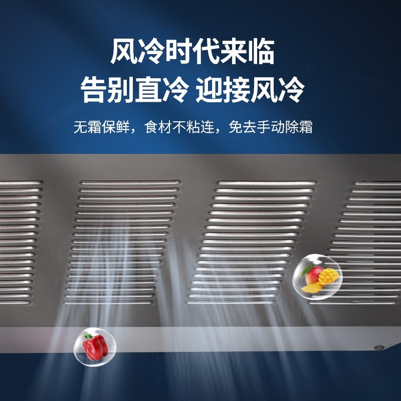 立式12风冷冰箱