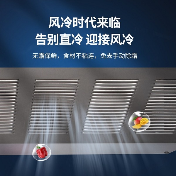 立式12风冷冰箱