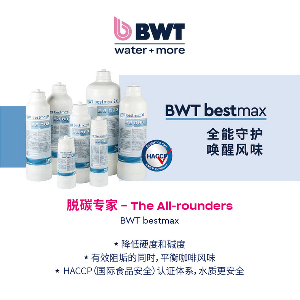 脱碳专家—BWT bestmax