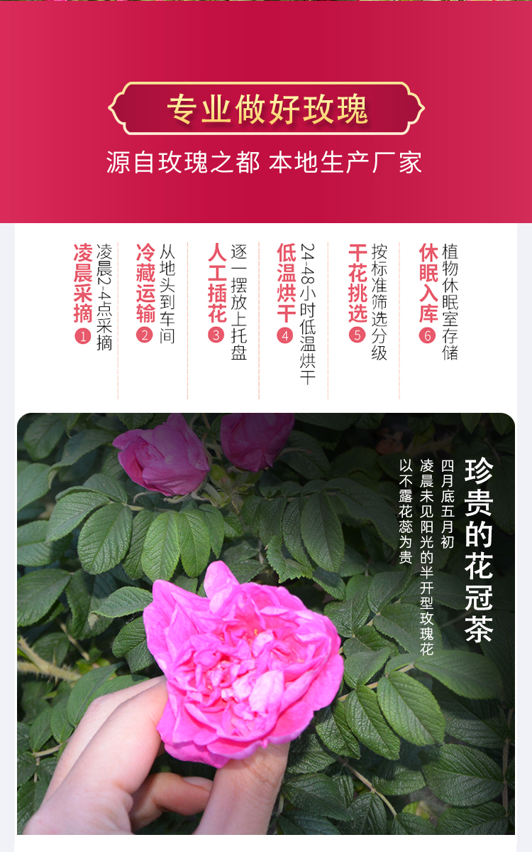 平阴玫瑰花冠茶