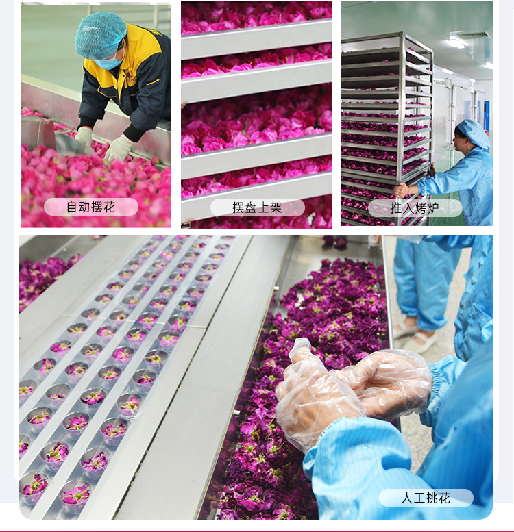 平阴玫瑰花冠茶