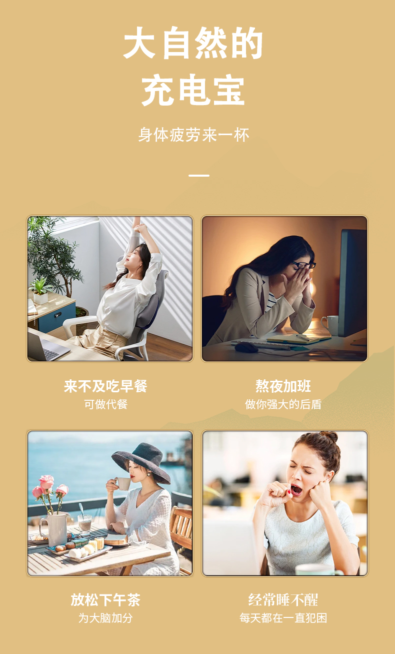 西湖纯藕粉罐装500g