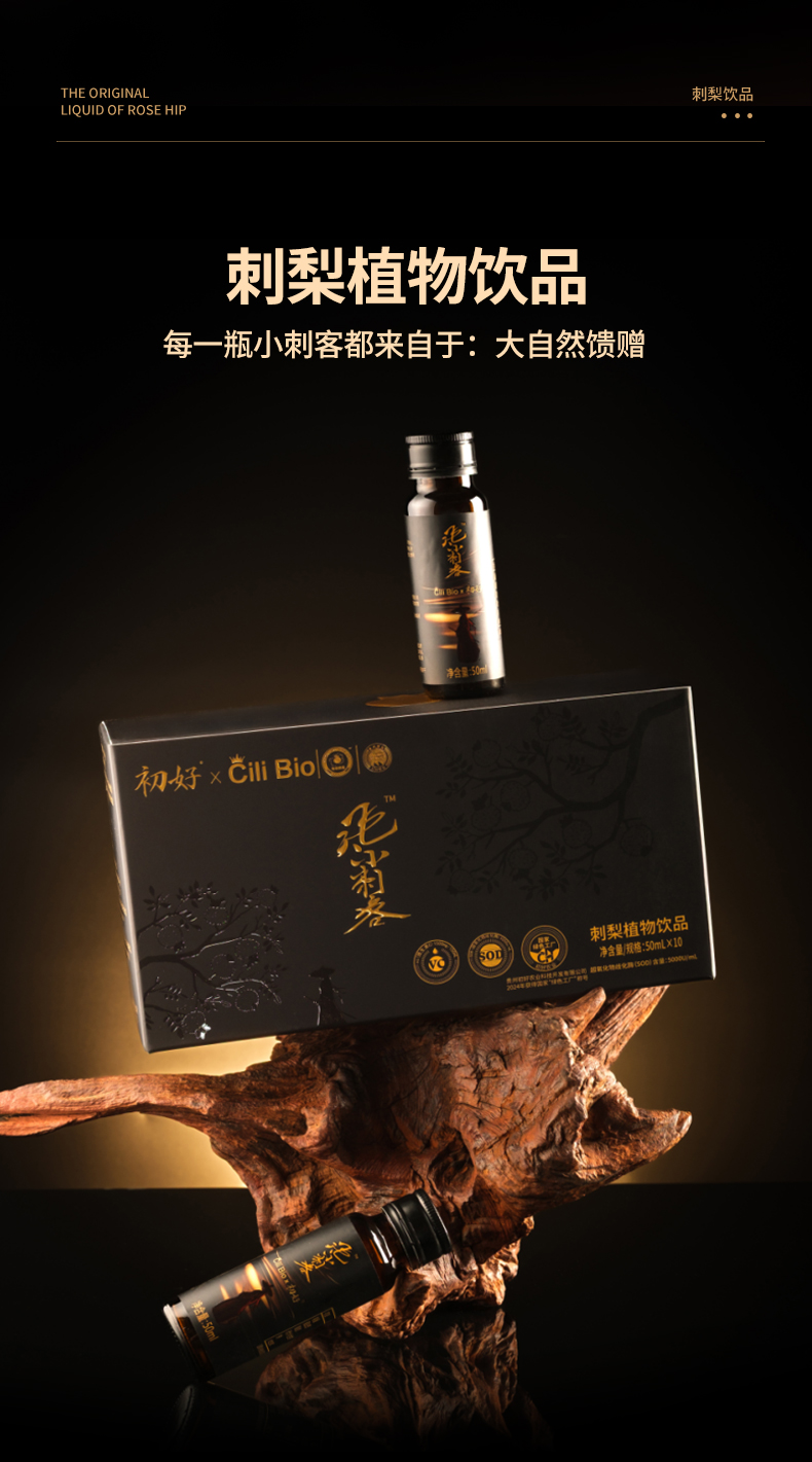 飞天小刺客刺梨植物饮