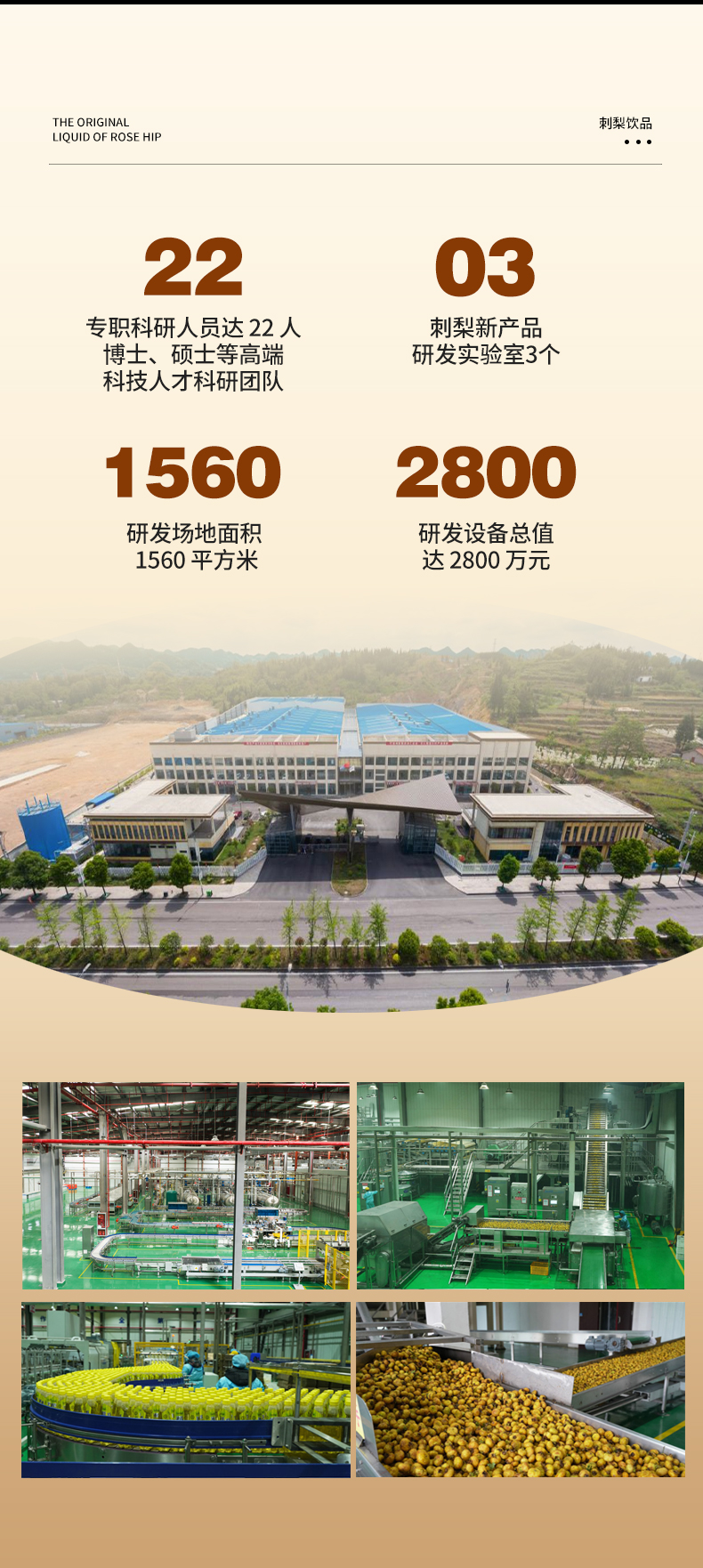 飞天小刺客刺梨植物饮