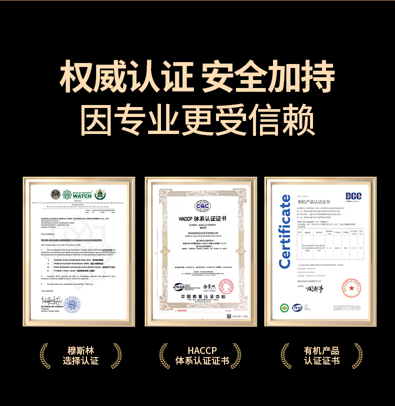 飞天小刺客刺梨植物饮