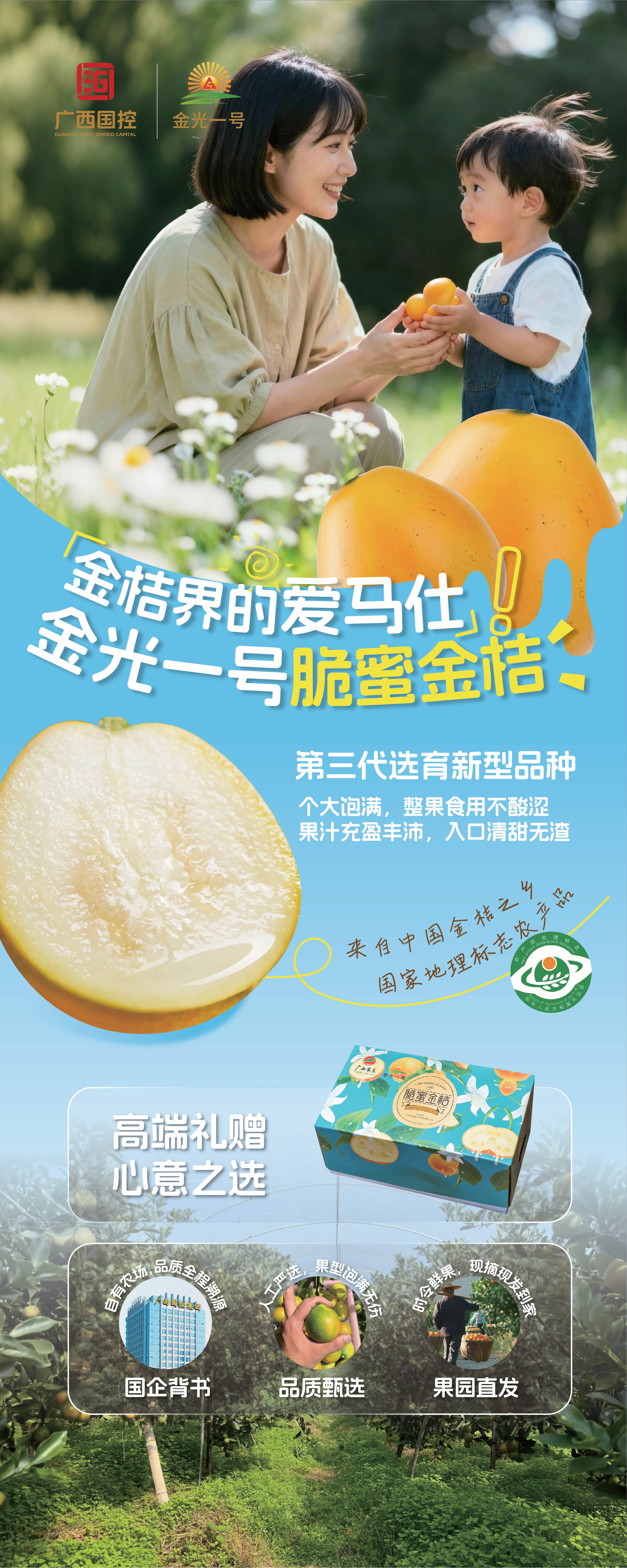 金光一号脆密金桔