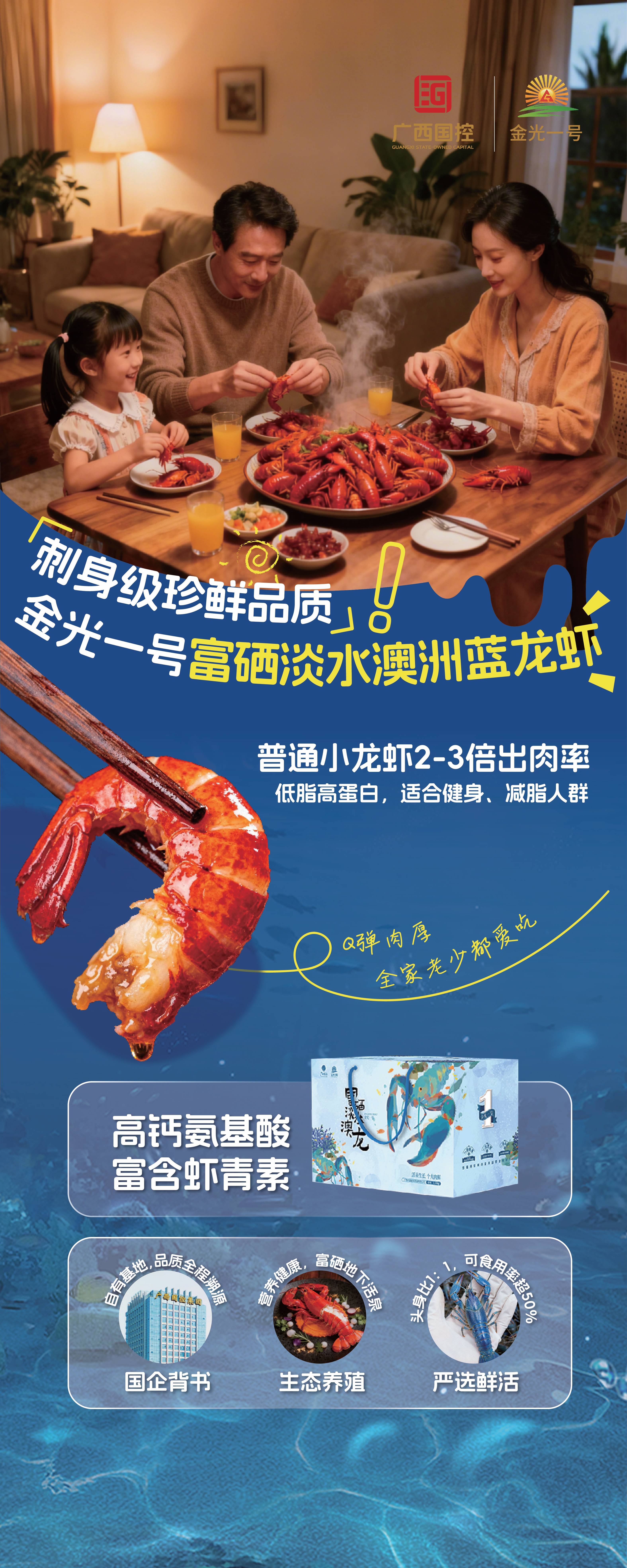 金光一号澳洲蓝龙虾