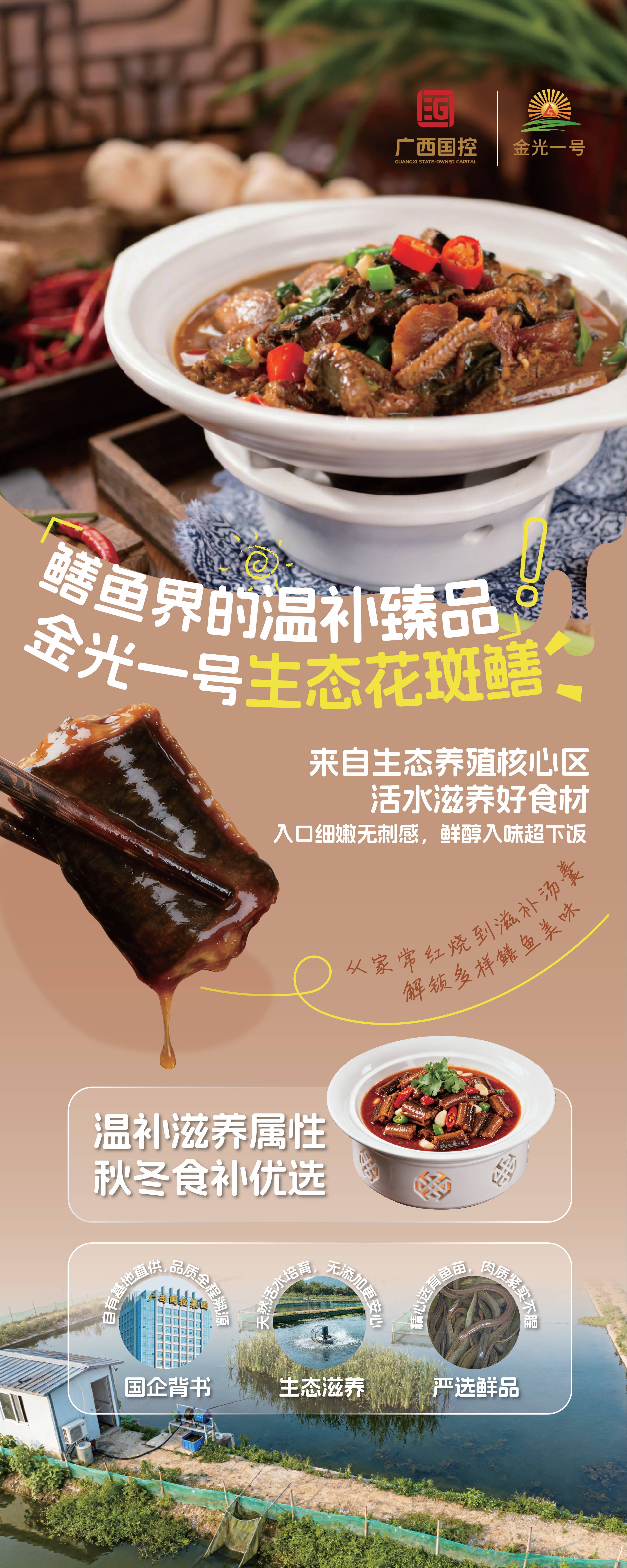 金光一号花斑鳝