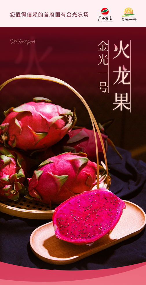 金光一号无刺火龙果