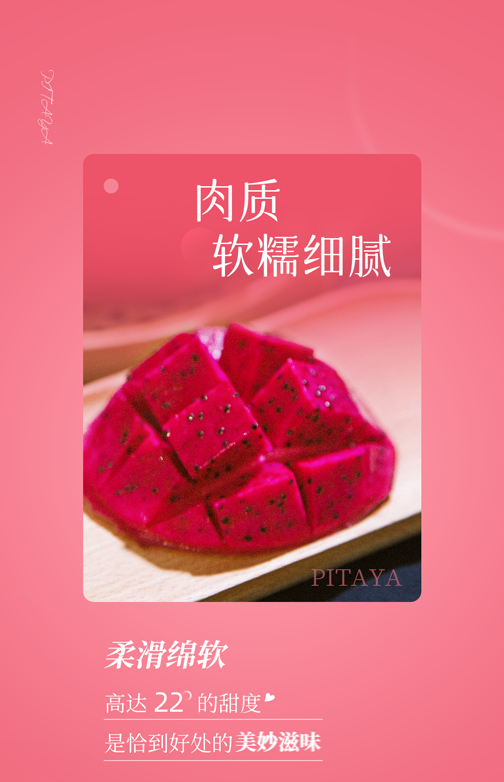 金光一号无刺火龙果