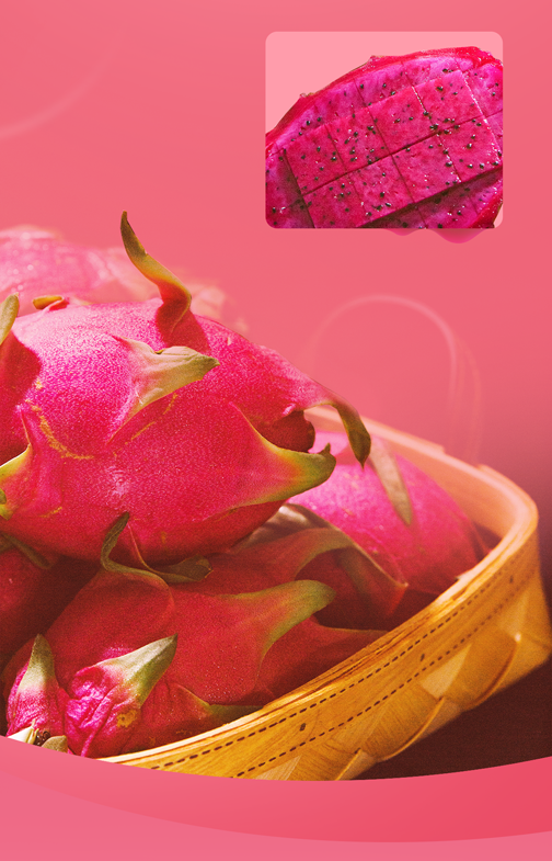 金光一号无刺火龙果