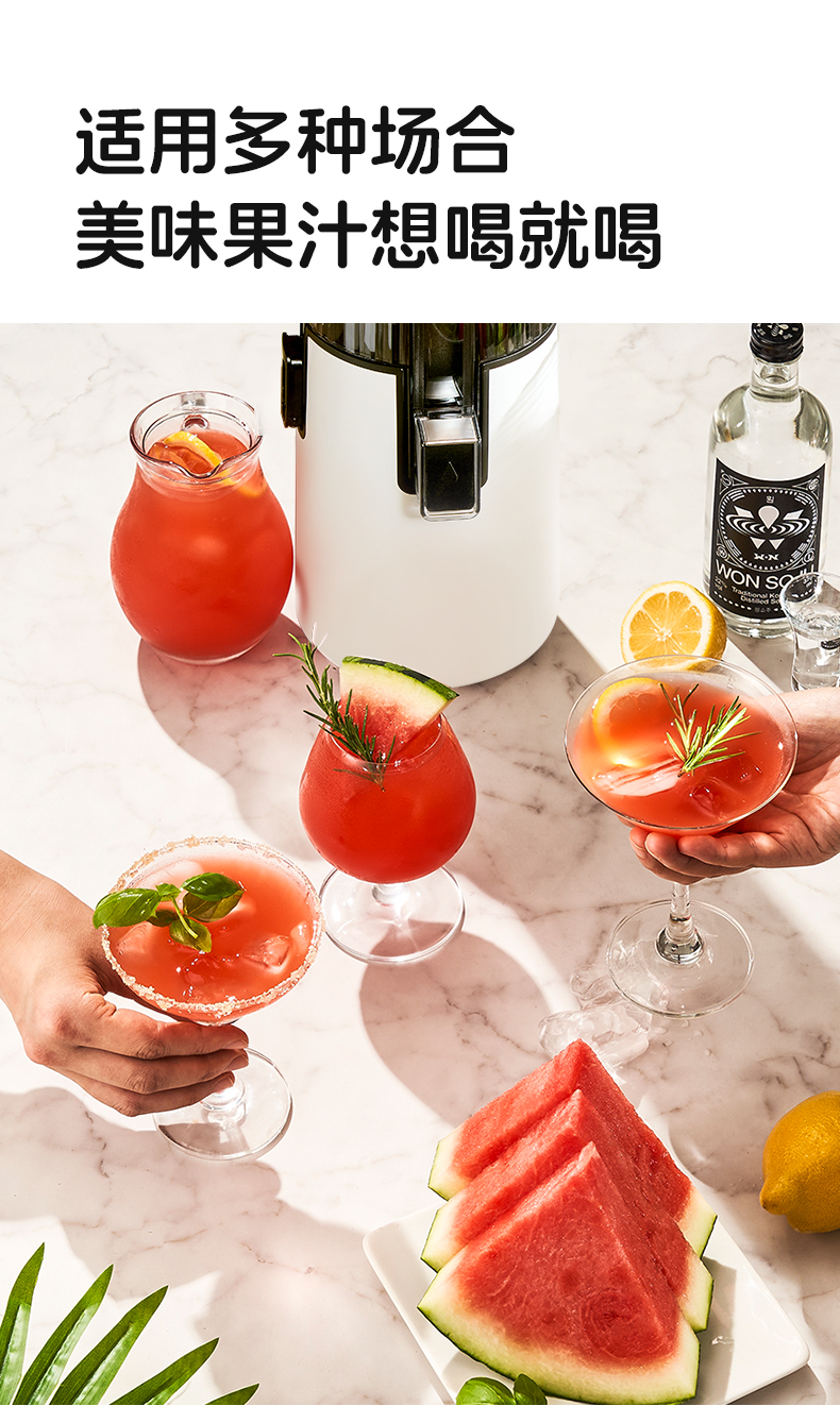 惠人Hurom 韩国原装 H70FT 原汁机榨汁机大口径无网家用低速榨汁机渣汁分离