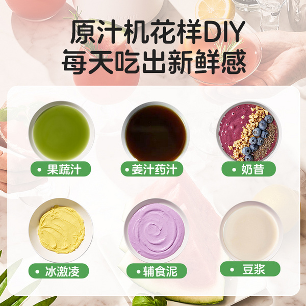 惠人Hurom 韩国原装 H220 大口径 原汁机榨汁机 家用商用 渣汁分离果汁机