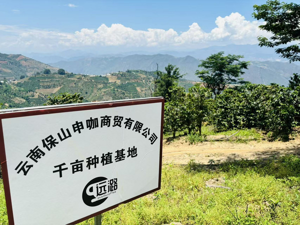云南保山核心咖啡产区的全产业链咖啡企业