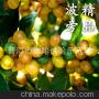 黃波旁咖啡豆