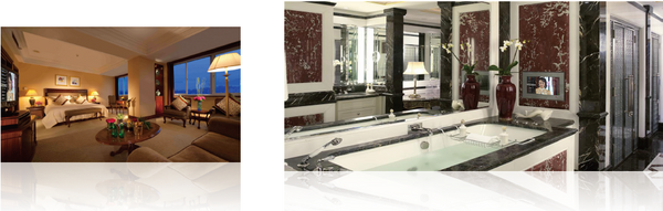 酒店高清互动数字电视子系统