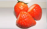单冻草莓
