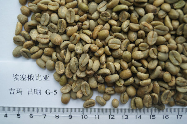 埃塞水洗、日晒摩卡