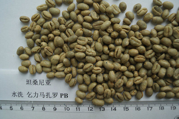 坦桑咖啡生豆