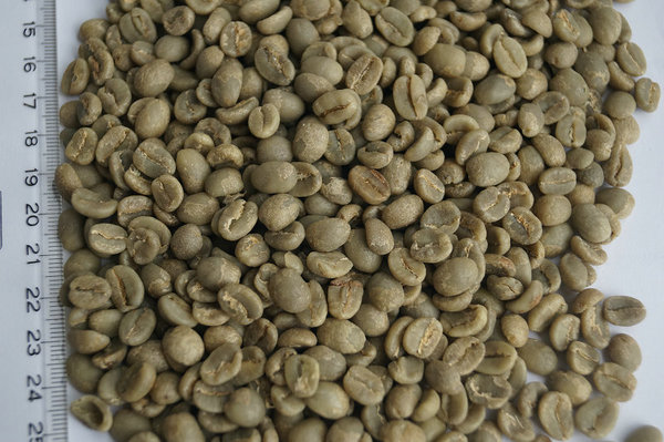 肯尼亚咖啡生豆