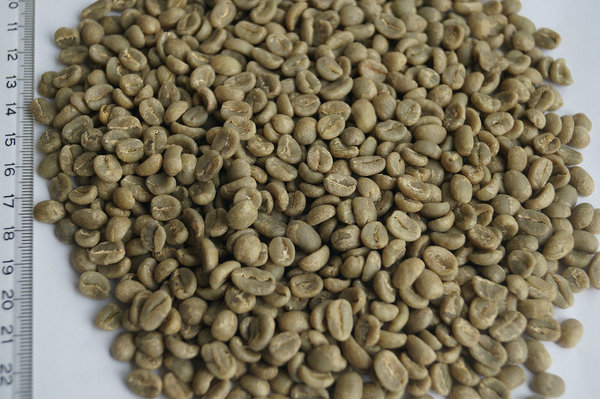 肯尼亚咖啡生豆