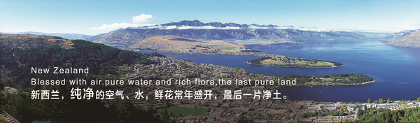 上海银蕨贸易有限公司